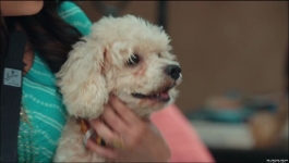 Yeh Hai Chahatein - 6th September 2023